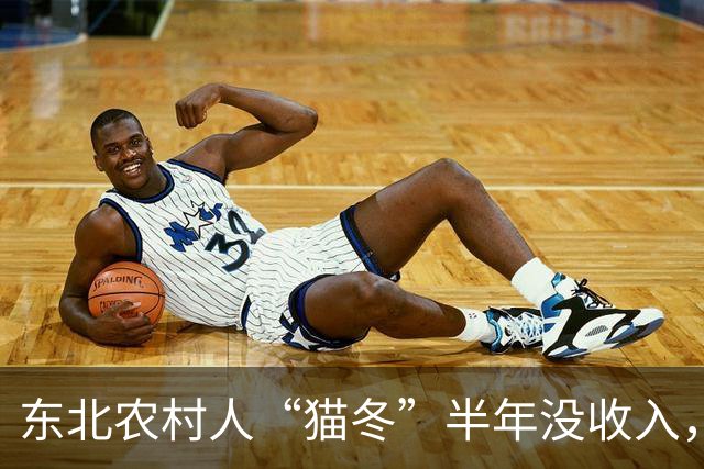 东北农村人“猫冬”半年没收入，一大家子人怎么撑下来的？