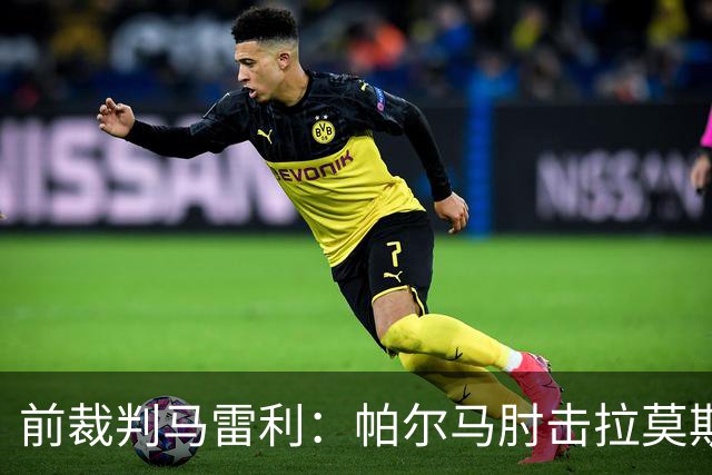 前裁判马雷利：帕尔马肘击拉莫斯逃处罚，VAR未介入因手掌张开