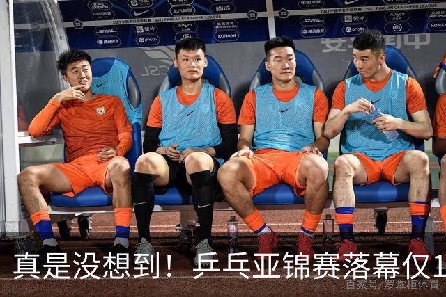 真是没想到！乒乓亚锦赛落幕仅1天，29岁樊振东高调官宣新身份，原来他早已给自己找好了退路！网友热泪盈眶：太清醒
