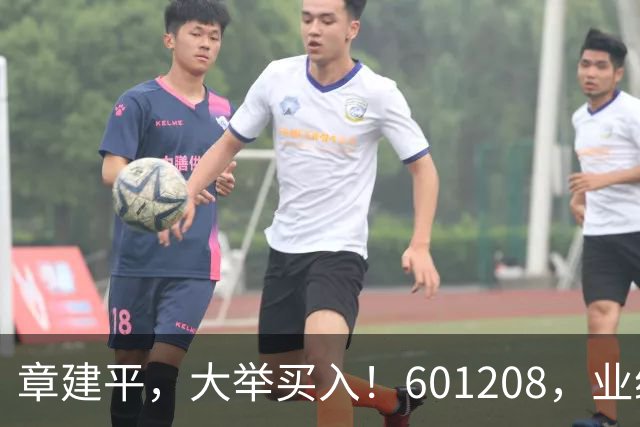 章建平，大举买入！601208，业绩大增！