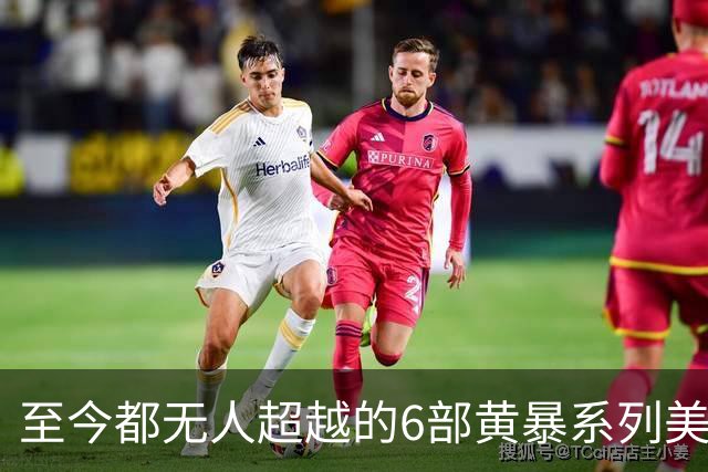 至今都无人超越的6部黄暴系列美剧，最后一部至今都无人超越